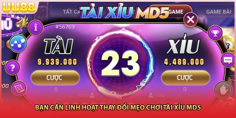 Bạn cần linh hoạt thay đổi mẹo chơi tài xỉu MD5
