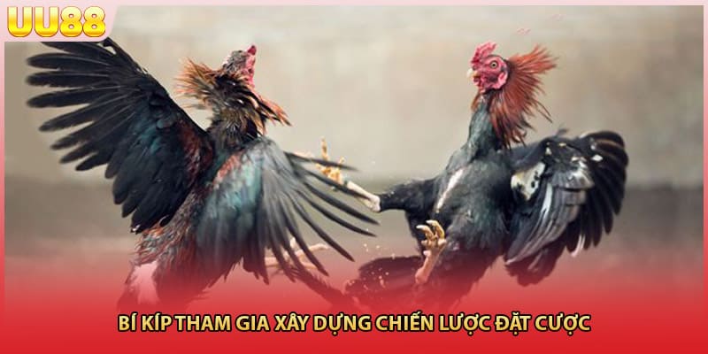 Bí kíp tham gia xây dựng chiến lược đặt cược
