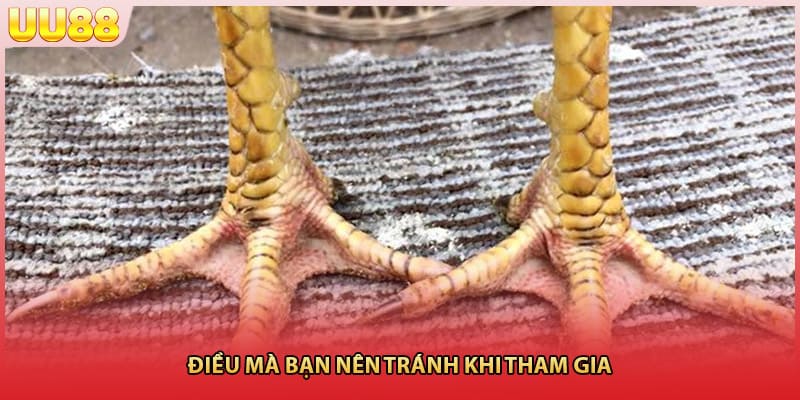 Quy trình chọn lựa chiến kê để tham gia