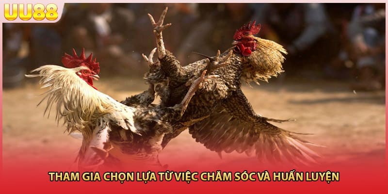 Tham gia chọn lựa từ việc chăm sóc và huấn luyện